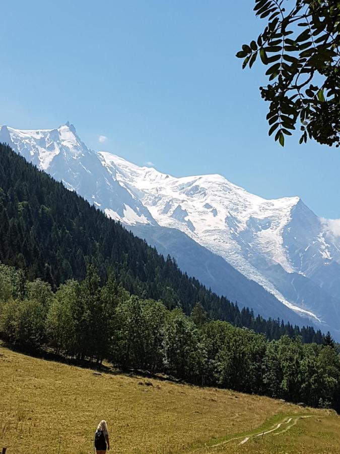 Appartement Typique,Chaleureux Et Pratique Chamonix Exteriör bild